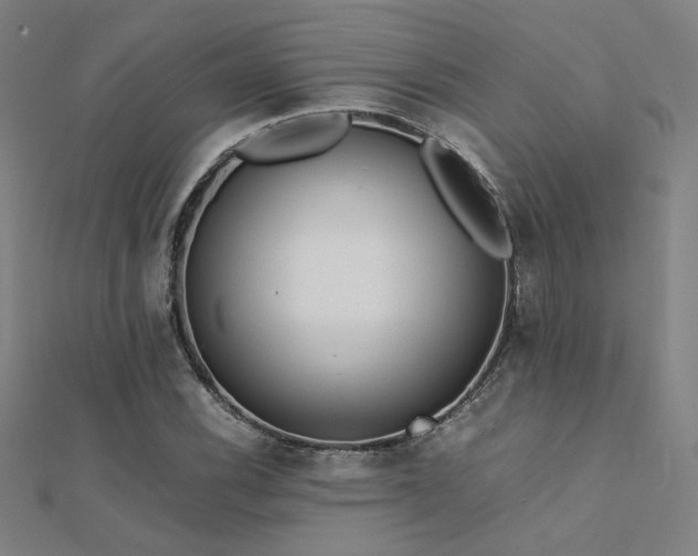 X0000112401116200908141333