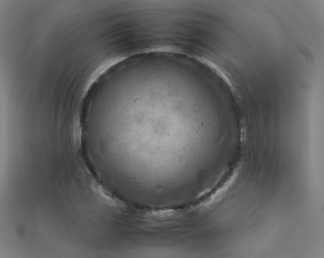 X0000112401117200908141333