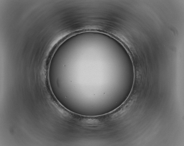 X0000112401119200908141333