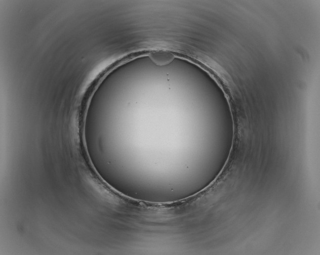 X0000112401120200908141333
