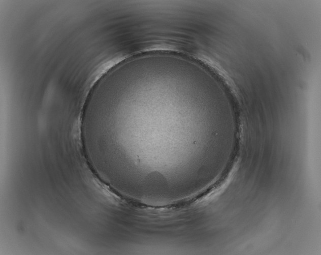 X0000112401121200908141333