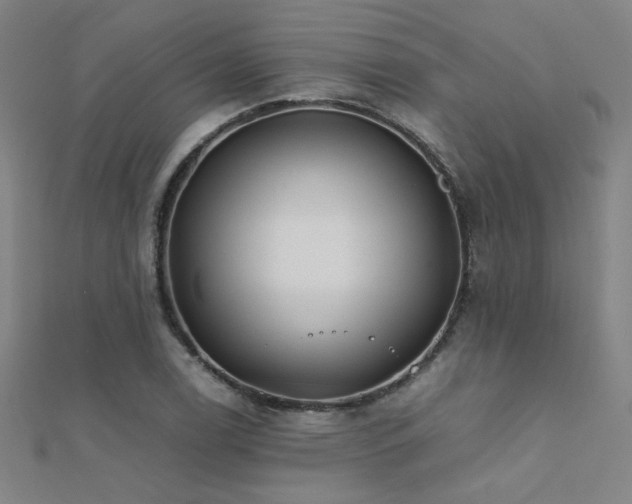 X0000112401122200908141333