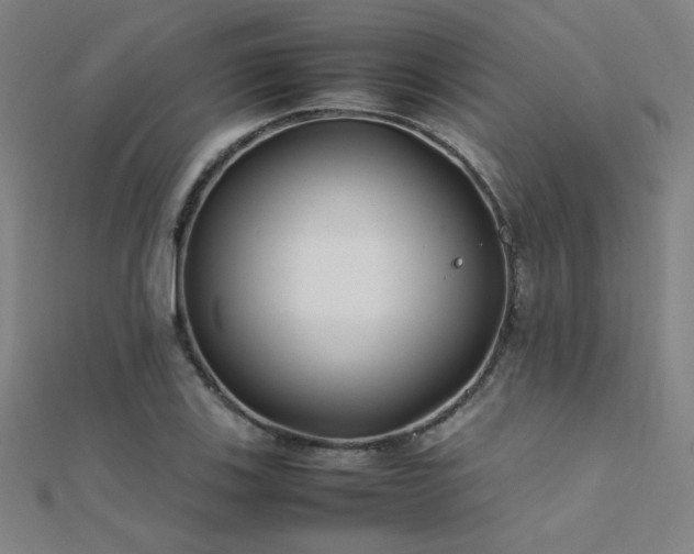 X0000112401123200908141333