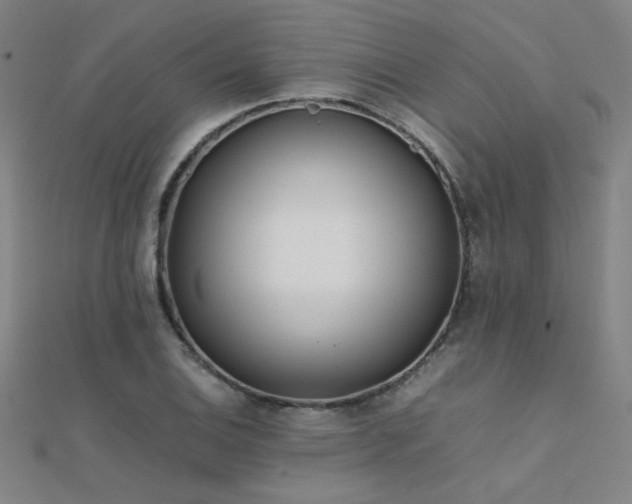 X0000112401124200908141333