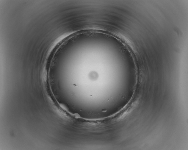 X0000112401125200908141333