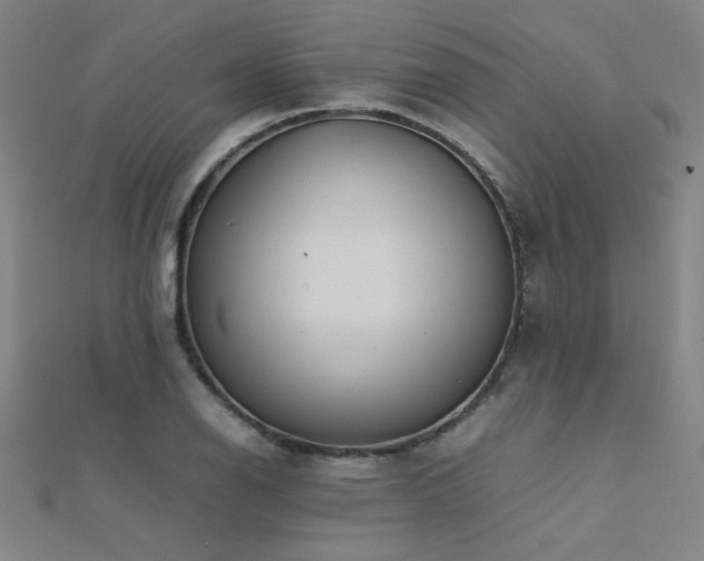 X0000112401126200908141333