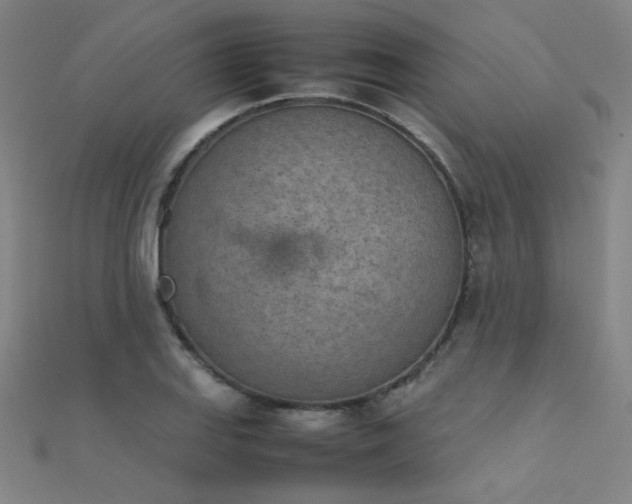 X0000112401127200908141333
