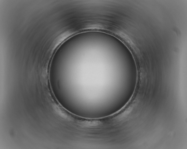 X0000112401129200908141333