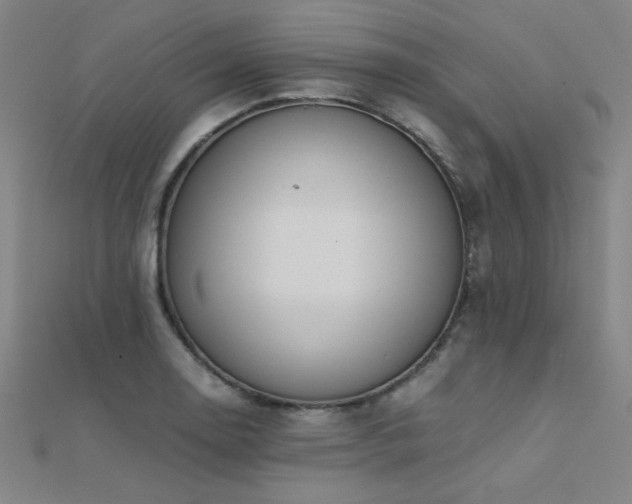 X0000112401130200908141333