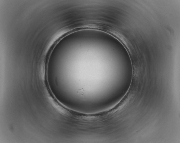 X0000112401131200908141333
