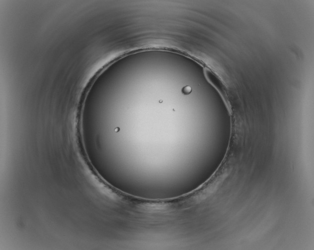 X0000112401134200908141333