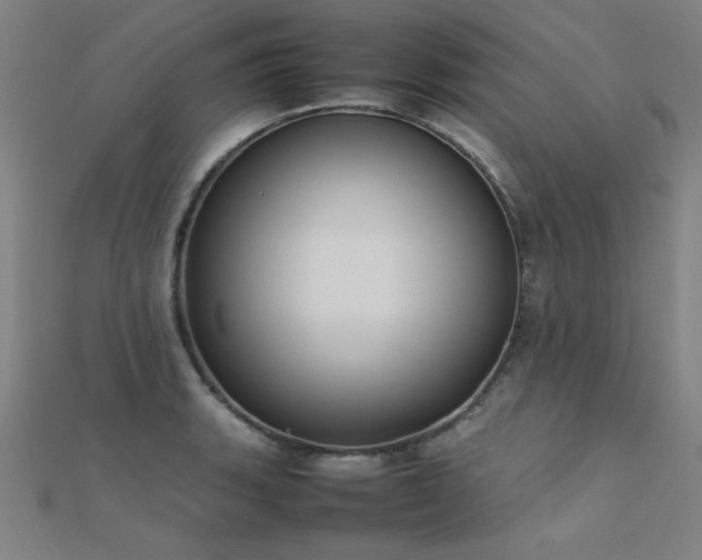 X0000112401135200908141333