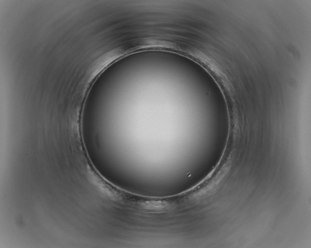 X0000112401137200908141333