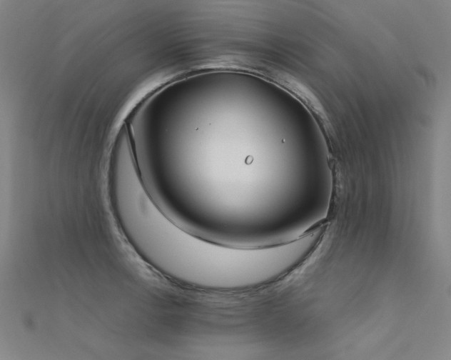 X0000112401138200908141333