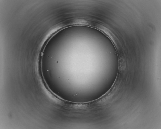 X0000112401139200908141333