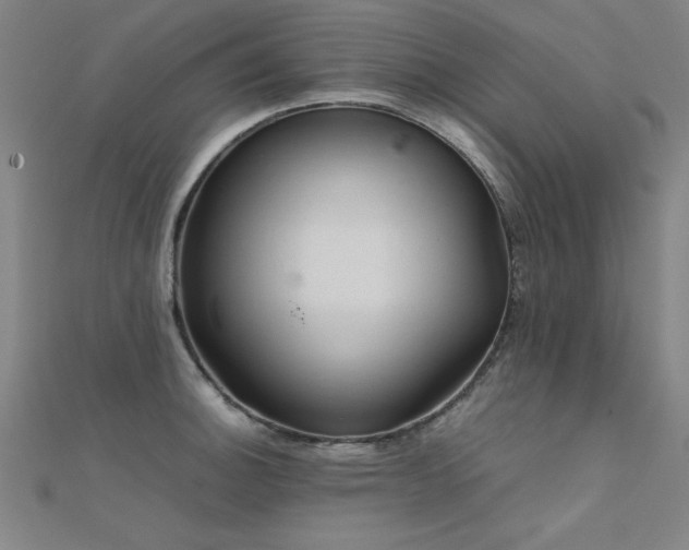 X0000112401140200908141333
