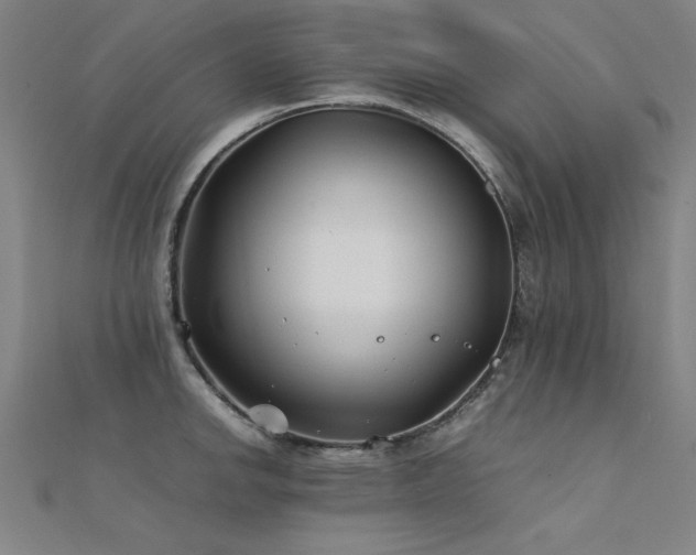 X0000112401142200908141333