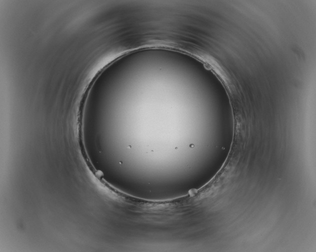 X0000112401143200908141333