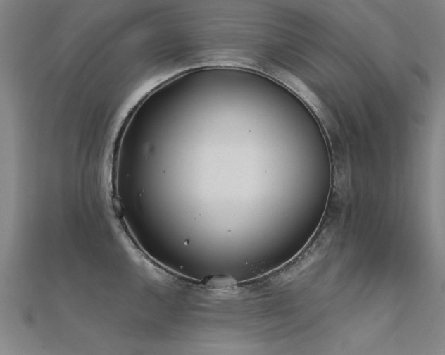 X0000112401144200908141333