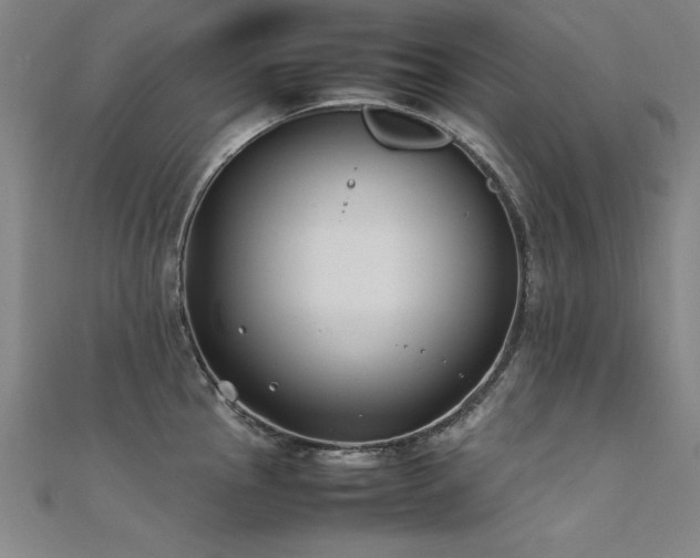 X0000112401145200908141333