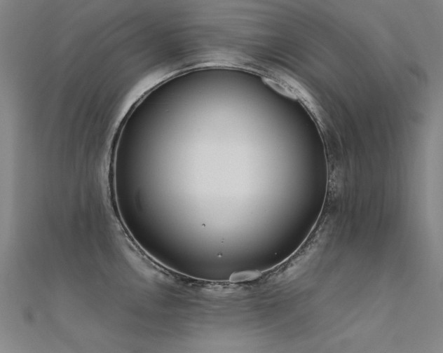 X0000112401146200908141333