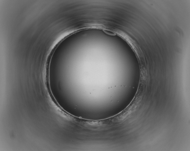 X0000112401147200908141333