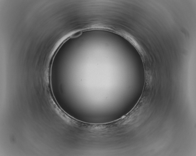 X0000112401148200908141333