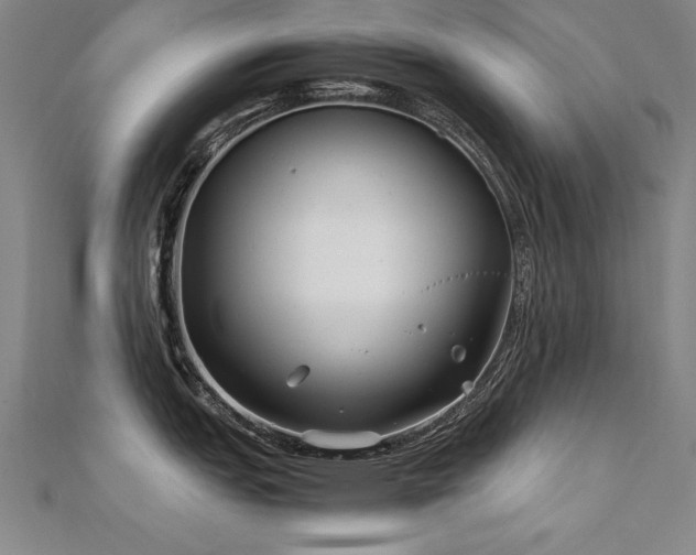 X0000112401151200908141333