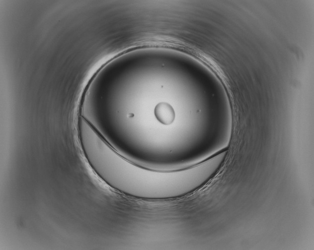 X0000112401152200908141333