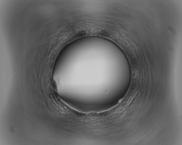 X0000112401153200908141333