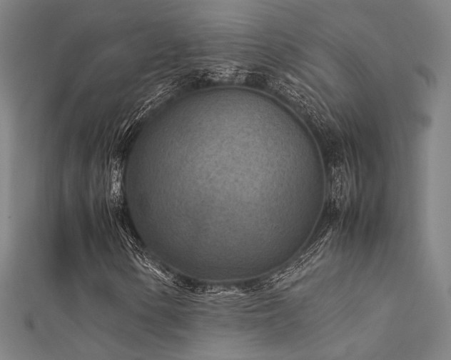 X0000112401154200908141333