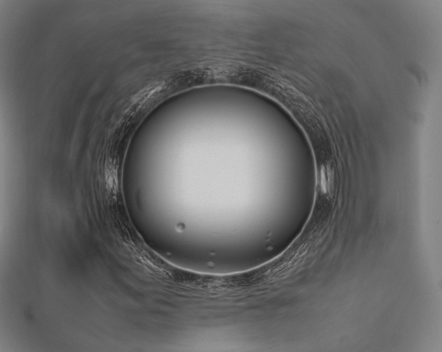 X0000112401155200908141333