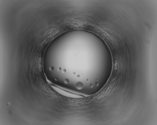 X0000112401156200908141333