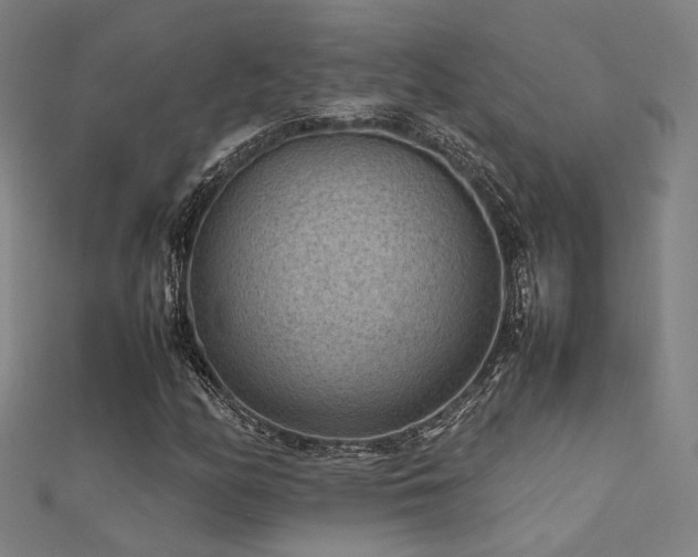 X0000112401158200908141333