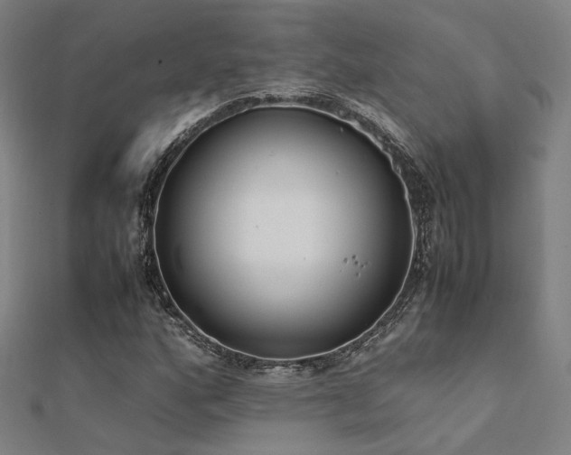 X0000112401160200908141333