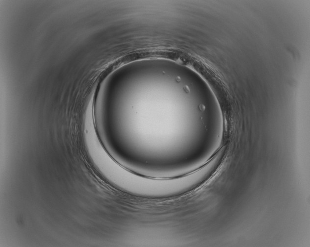 X0000112401161200908141333
