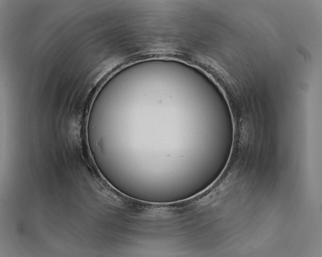 X0000112401162200908141333