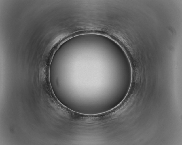 X0000112401163200908141333