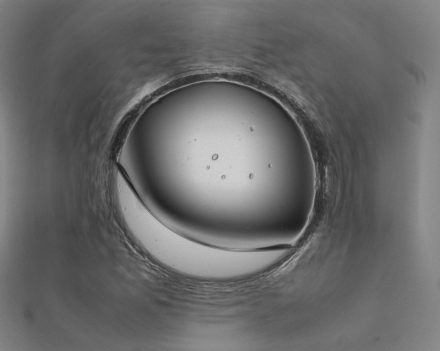 X0000112401165200908141333