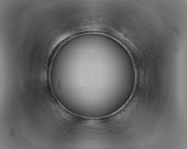 X0000112401166200908141333