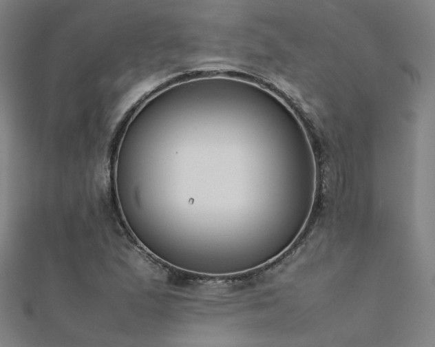 X0000112401167200908141333