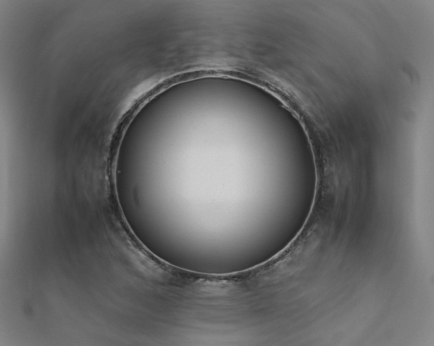 X0000112401168200908141333
