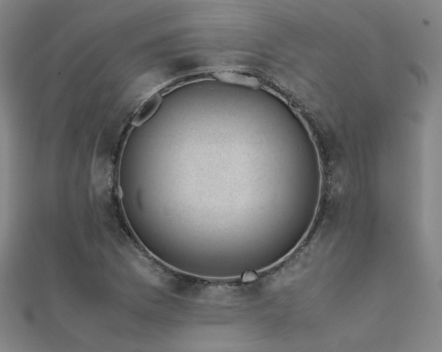 X0000112401169200908141333