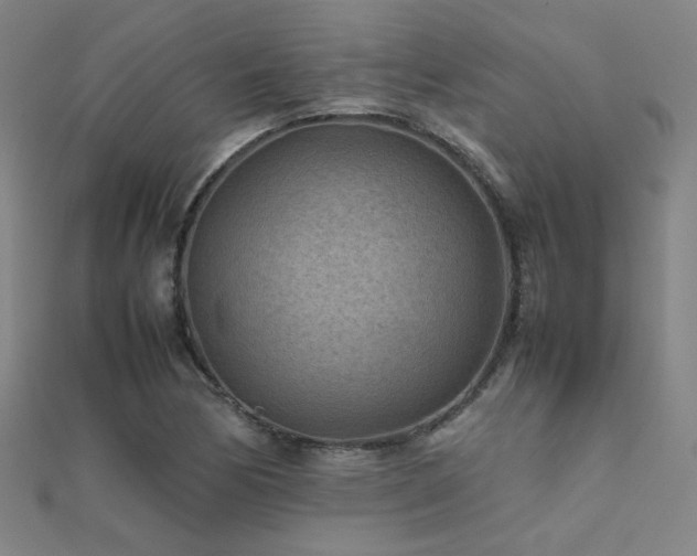X0000112401170200908141333