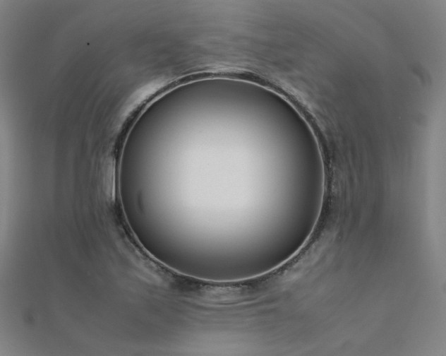 X0000112401171200908141333
