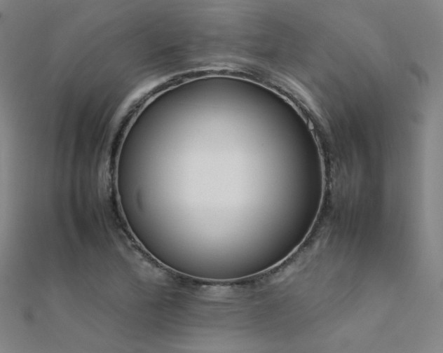 X0000112401172200908141333
