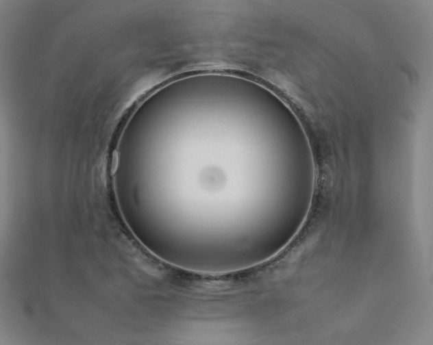 X0000112401173200908141333