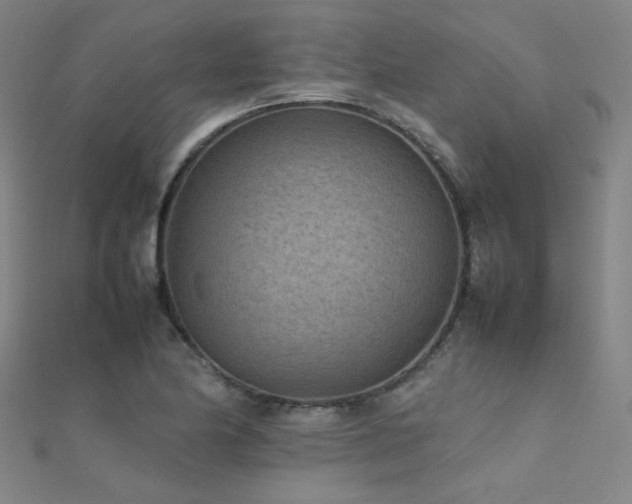 X0000112401174200908141333