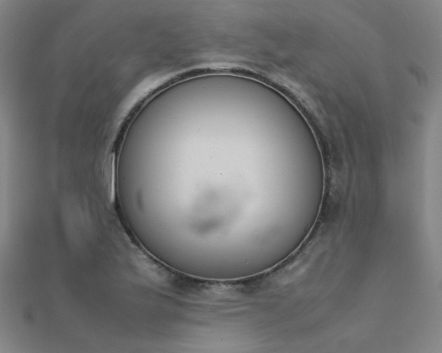 X0000112401175200908141333
