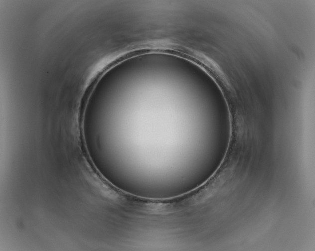 X0000112401176200908141333